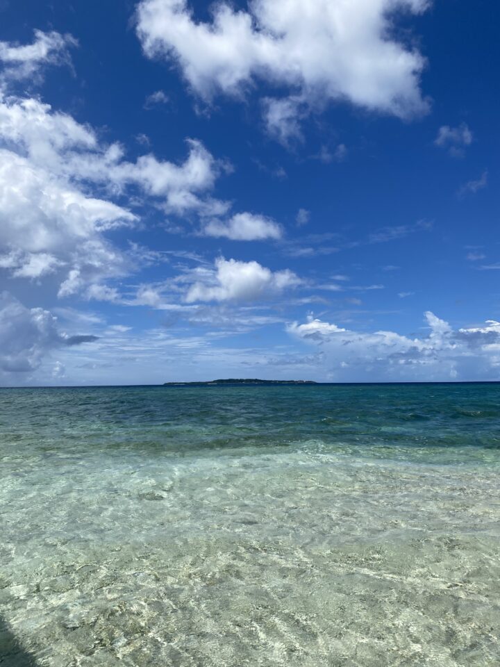 三畑賢人 夏休みに関しての画像